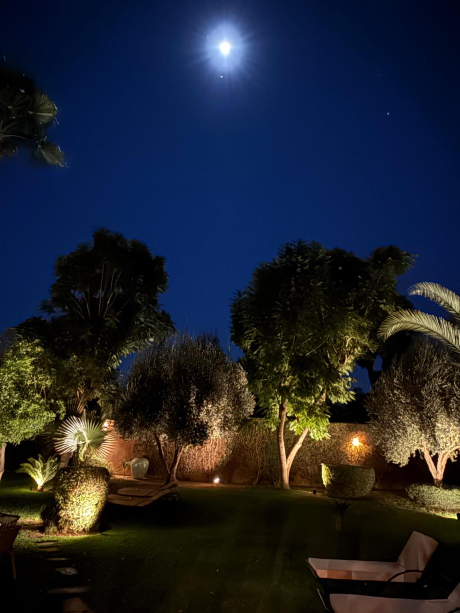 Villa #1 'Rosalie' Marrakesh Exterior photo